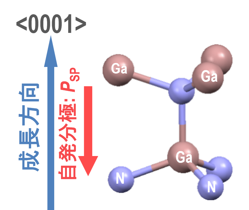 Ga極性