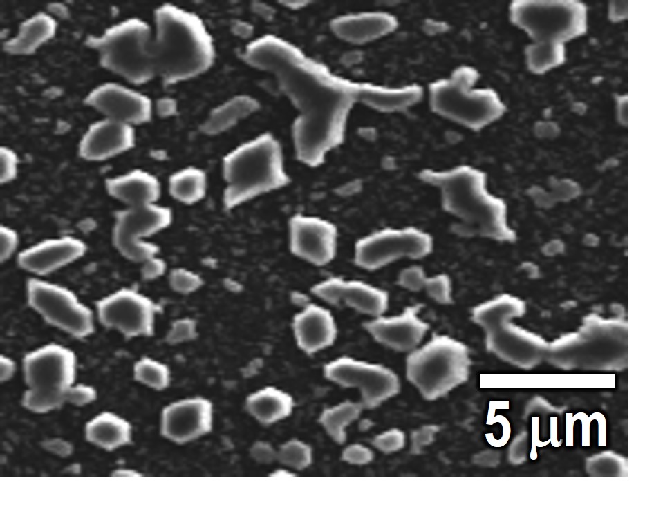 N極性 成長中断 50 nm