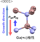 Direction of Crystallographic Orientation and Piezoelectric Polarization in Ga-Polar