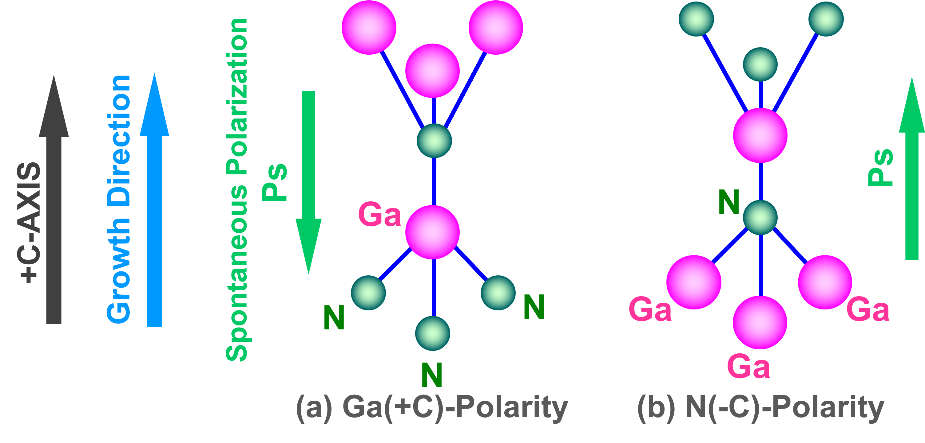 porality